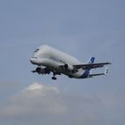 Airbus-Transport-Flugzeug BELUGA 2 im Landeanflug Hamburg-Finkenwerder