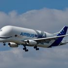 Airbus-Werksflugzeug BELUGA XL2 