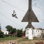 Aircraft monument and a pigeon