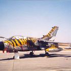 Aircraft Show in Portugal - Tornado Tiger