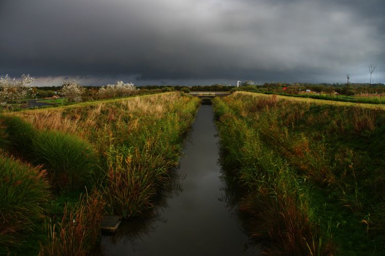 aire de baie de somme, abbeville.