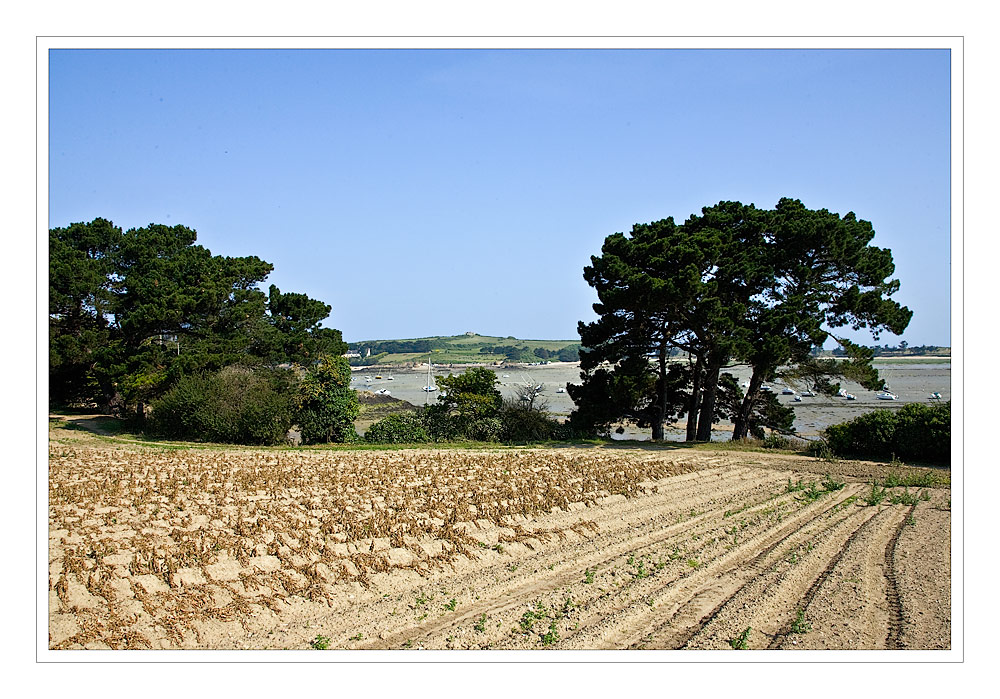 Aire de Rotheneuf