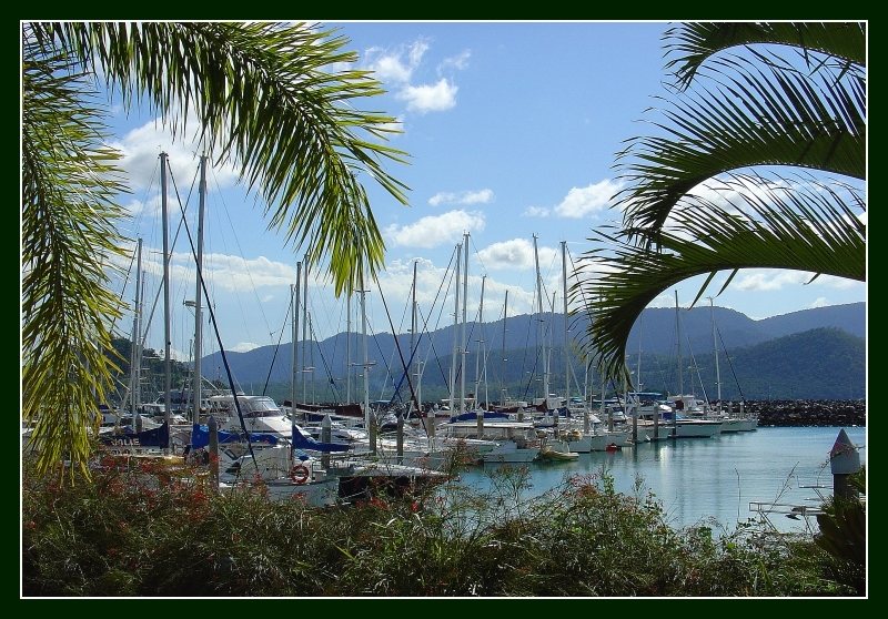 Airlie Beach (IV) - Yacht-Hafen