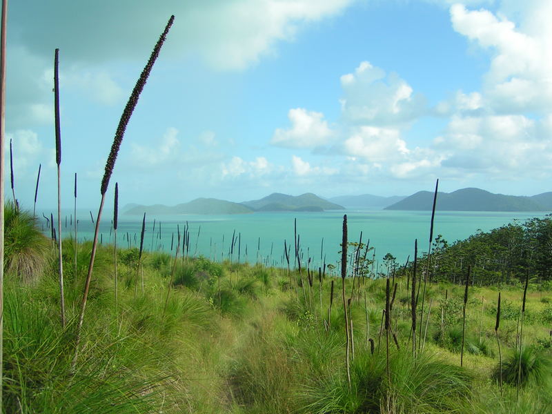 Airlie Beach / Withsundays