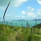 Airlie Beach / Withsundays