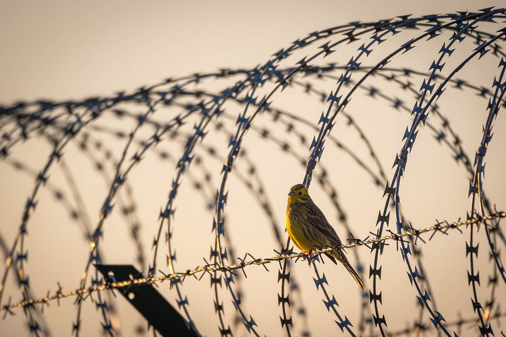 Airport-Spotting in der Pandemie I