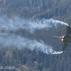 Airpower_2016 (3 von 5)