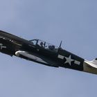 Airshow Breitscheid - Curtiss P-40 Warhawk