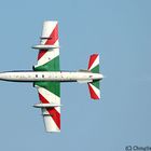 Airshow Viva Lignano 2007