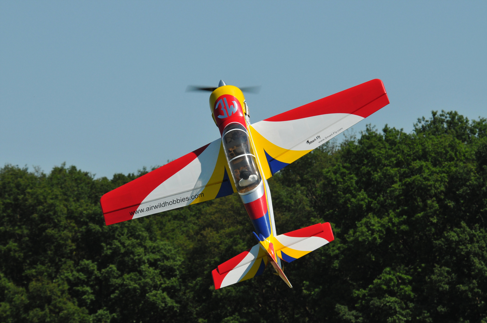 AirWild Sukhoi Su29