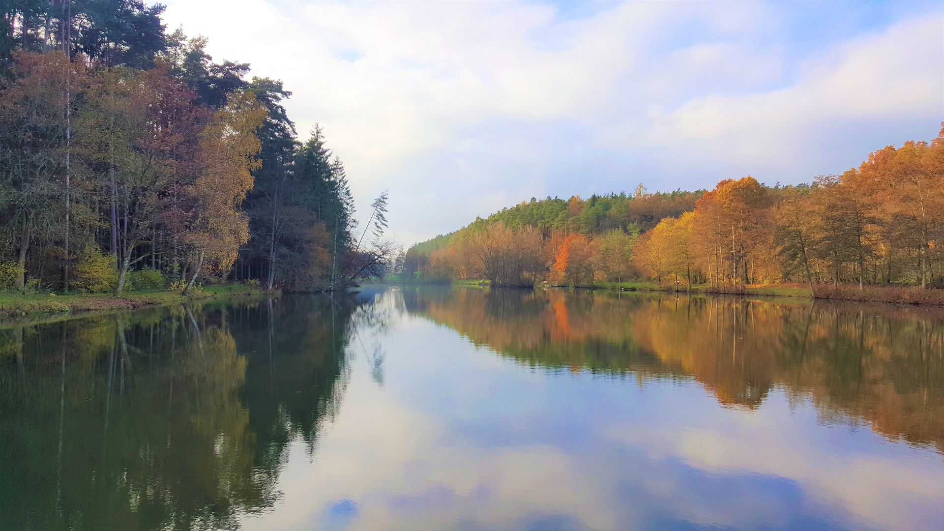 Aischgründer Karpfenweiher