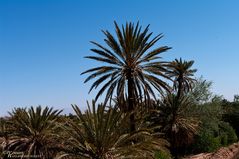 Ait Ben Haddou