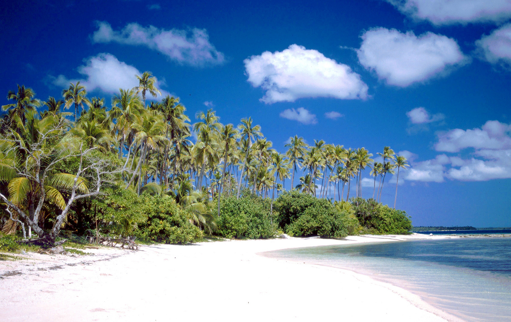 Aitutaki, bei einer Rundfahrt durch die Lagune