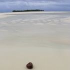 Aitutaki Lagoon with Coconut