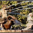 Aix en provence, Fontaine de la rotonde