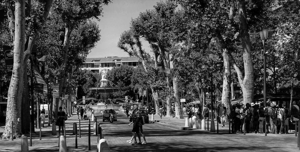 Aix-en-Provence, Summer Day 2014