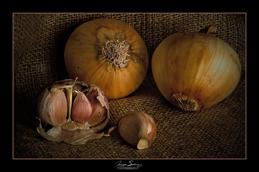 Ajos y cebollas