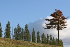 Akademie Mont Cenis