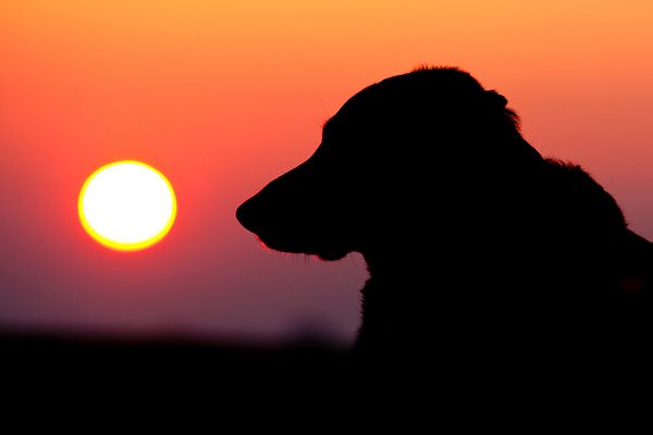 ...Akai im Sonnenaufgang...