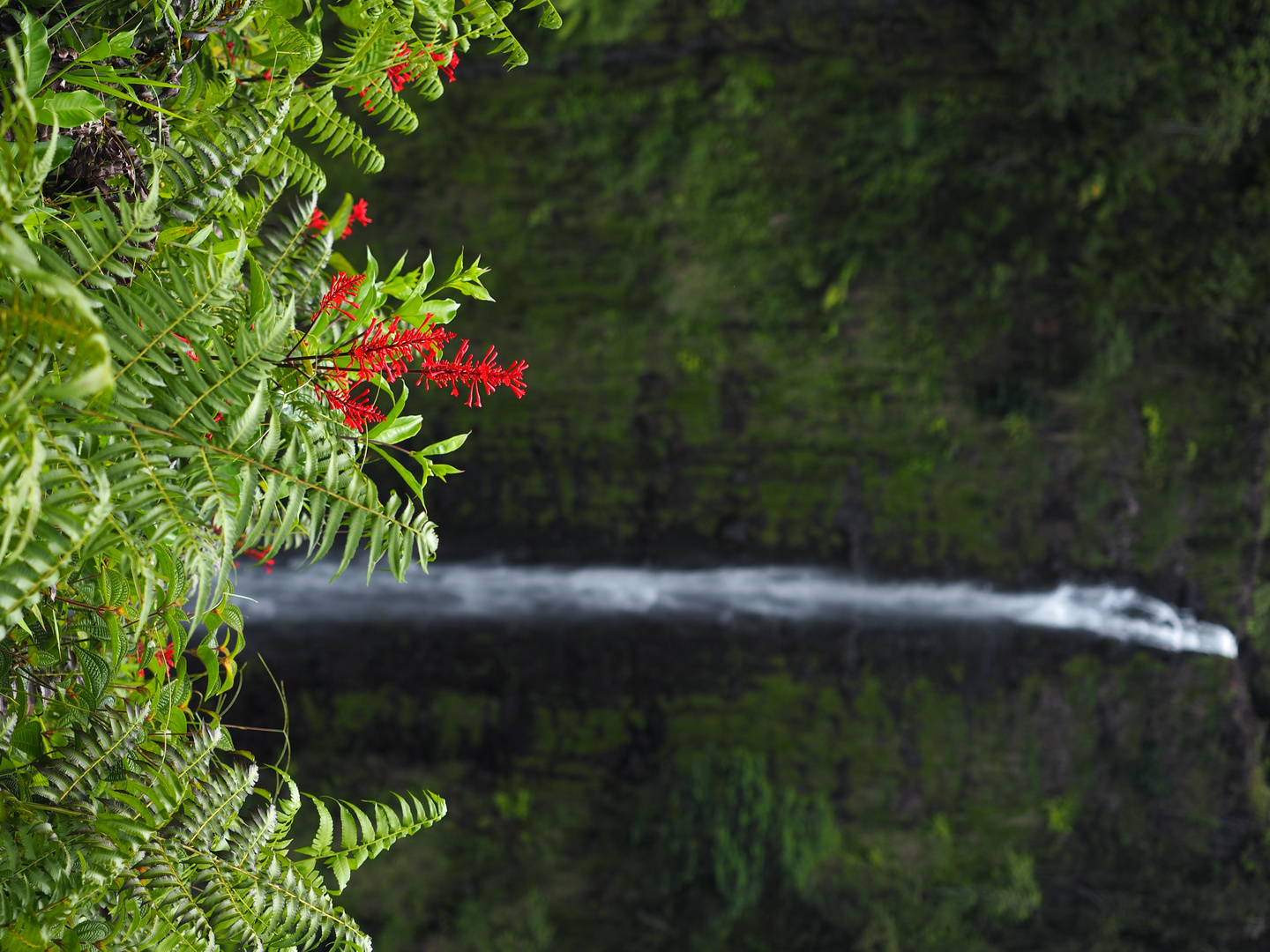 Akaka Falls