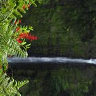 Akaka Falls