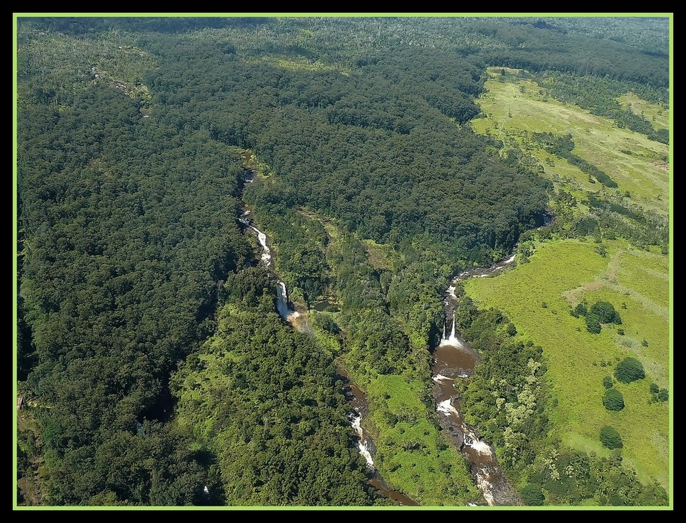 Akaka Falls von oben