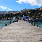 Neuseeland 2013