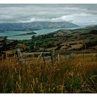 ... Akaroa ...