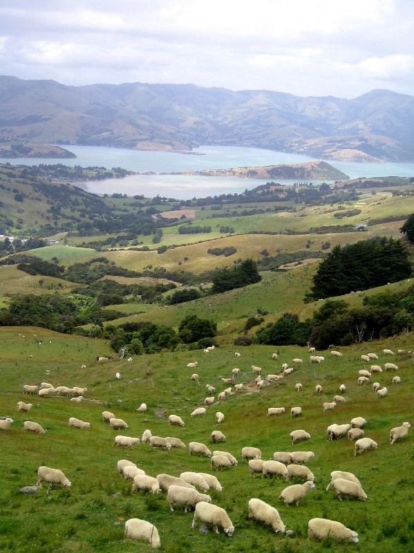 Akaroa