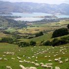 Akaroa