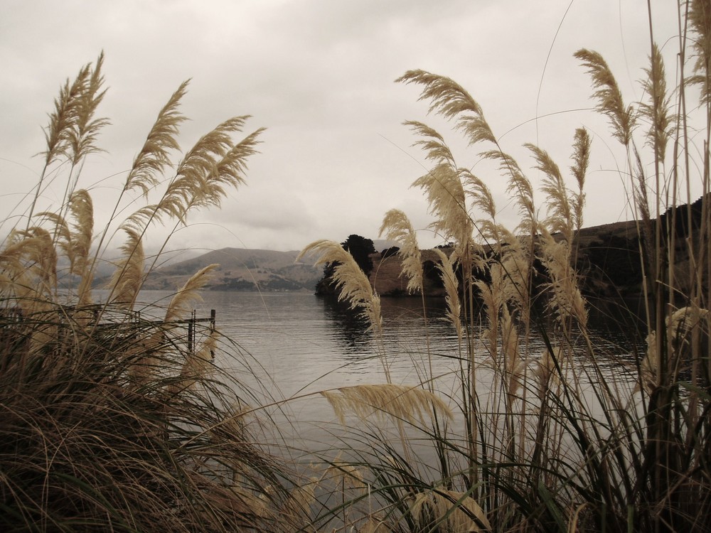 Akaroa