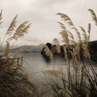 Akaroa