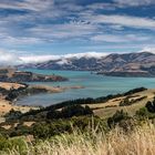 Akaroa - NZ