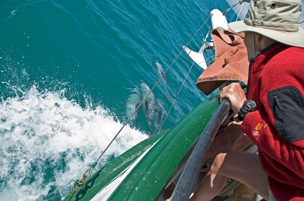 Akaroa set sail 7 Foto & Bild australia & oceania, new zealand