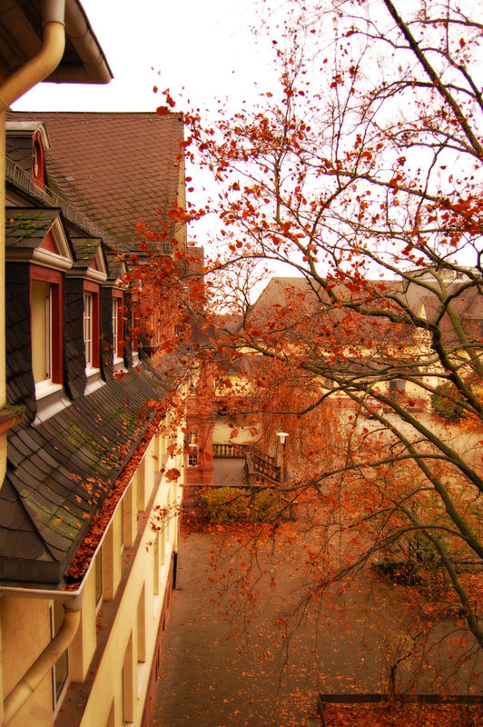 AKG - Altes Kurfürstliches Gymnasium in Bensheim