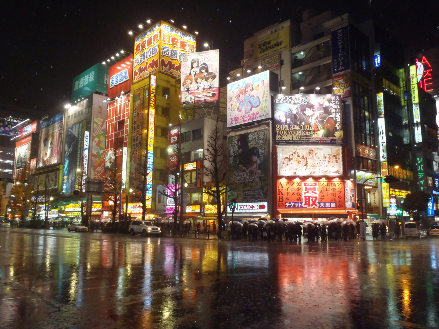 Akihabara bei Nacht und stömendem Regen ( 30.12.12 )