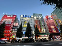 Akihabara Electric Town