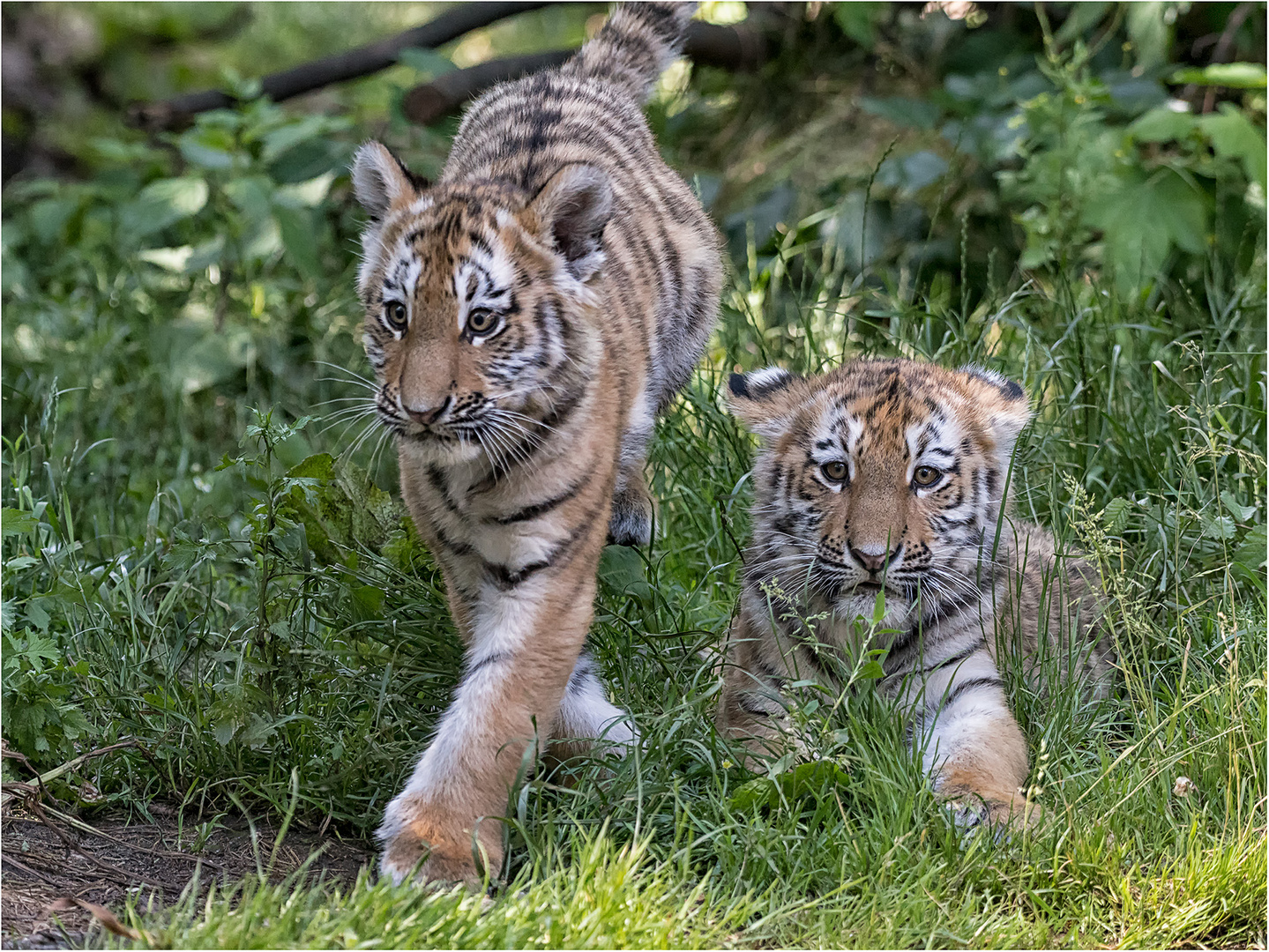 Akina und Lenya