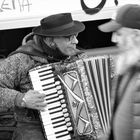 Akkordeon Fischmarkt HH lumix-21-370-sw