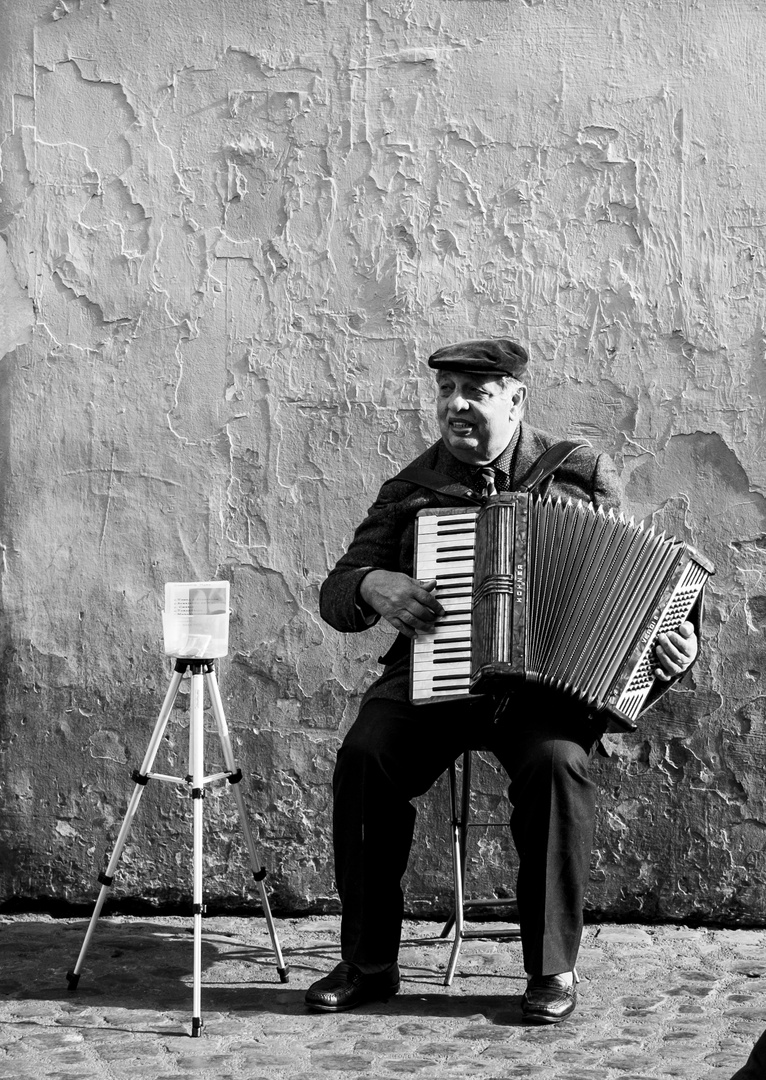 Akkordeonspieler in Trastevere