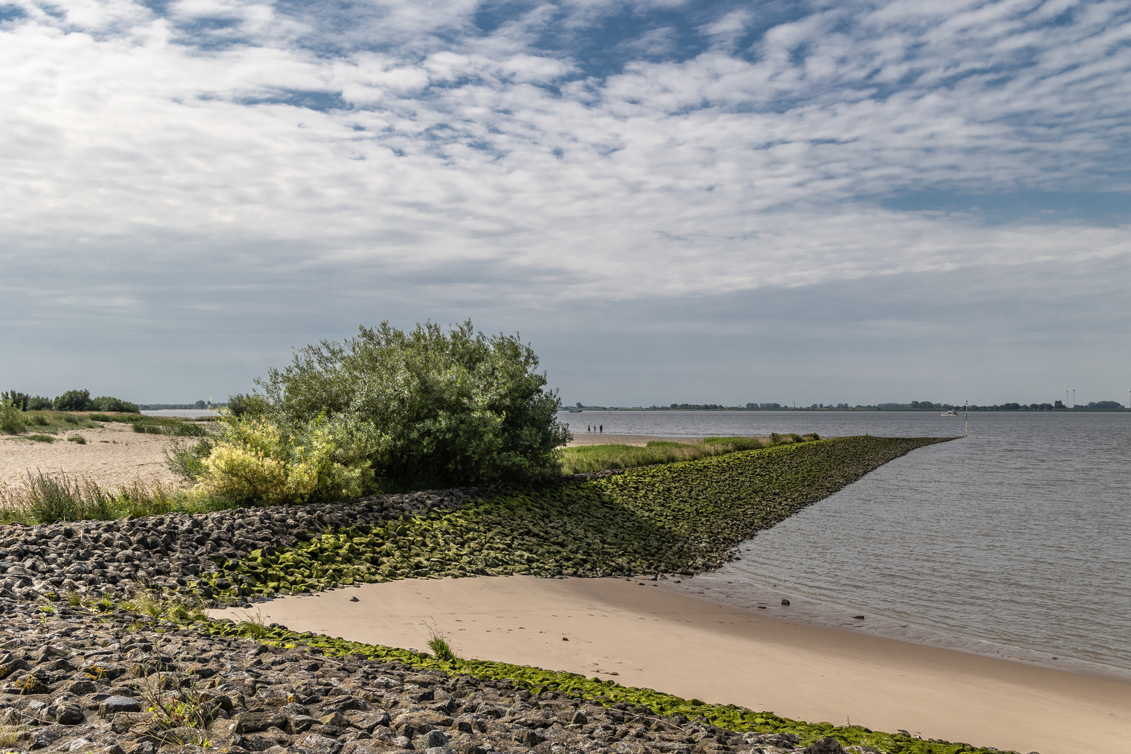 Akkurat an der Elbe