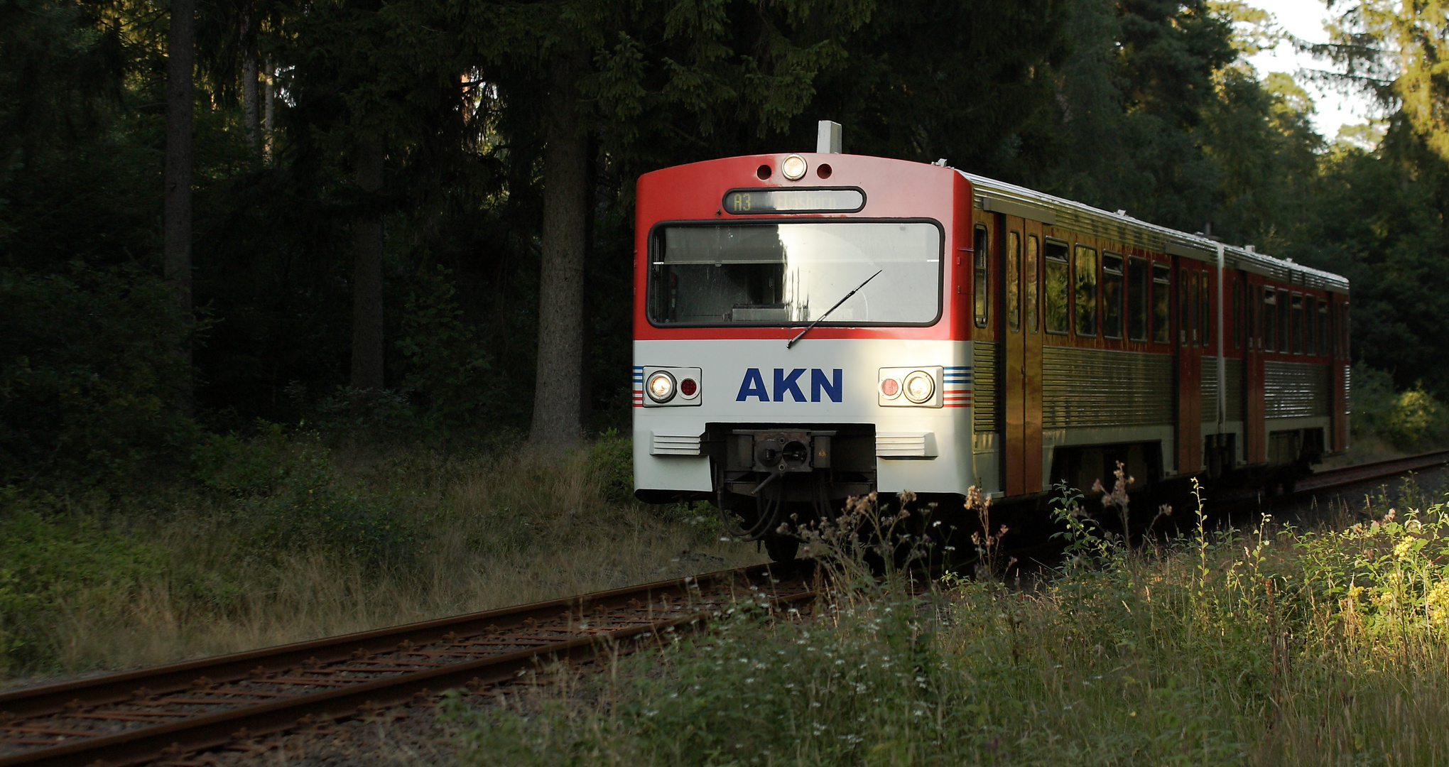 AKN bei Heeder Tannen