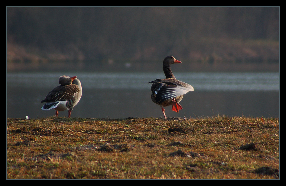 *Akrobaten* an der Isar