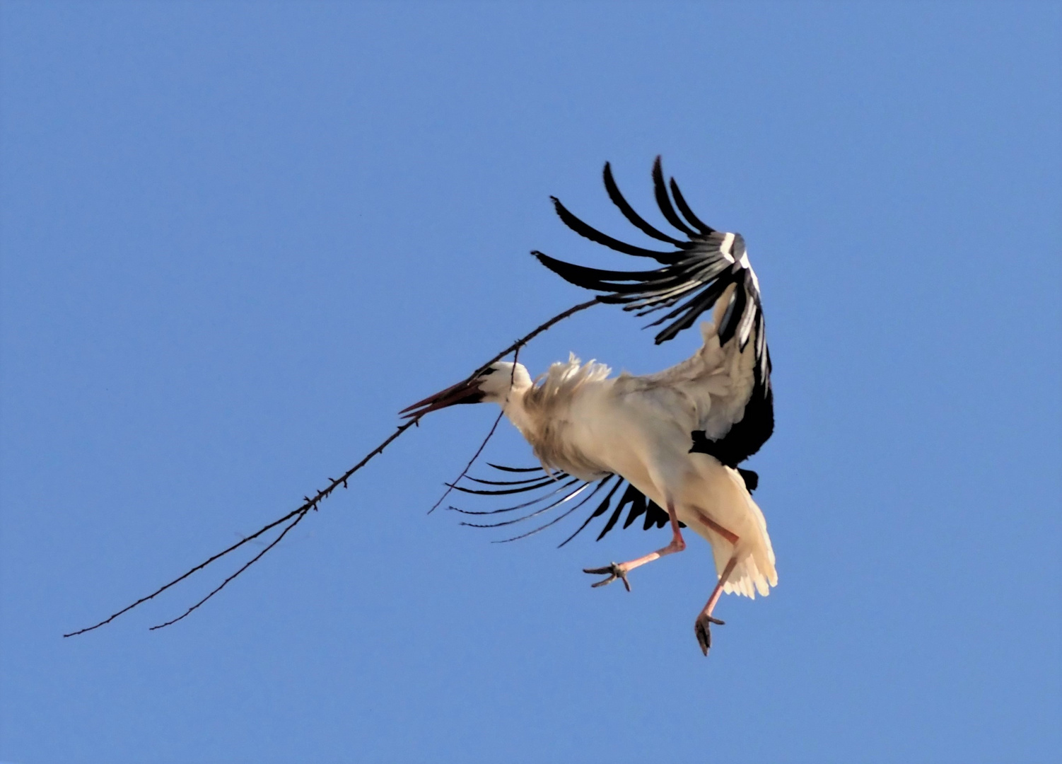 Akrobatische Flugshow