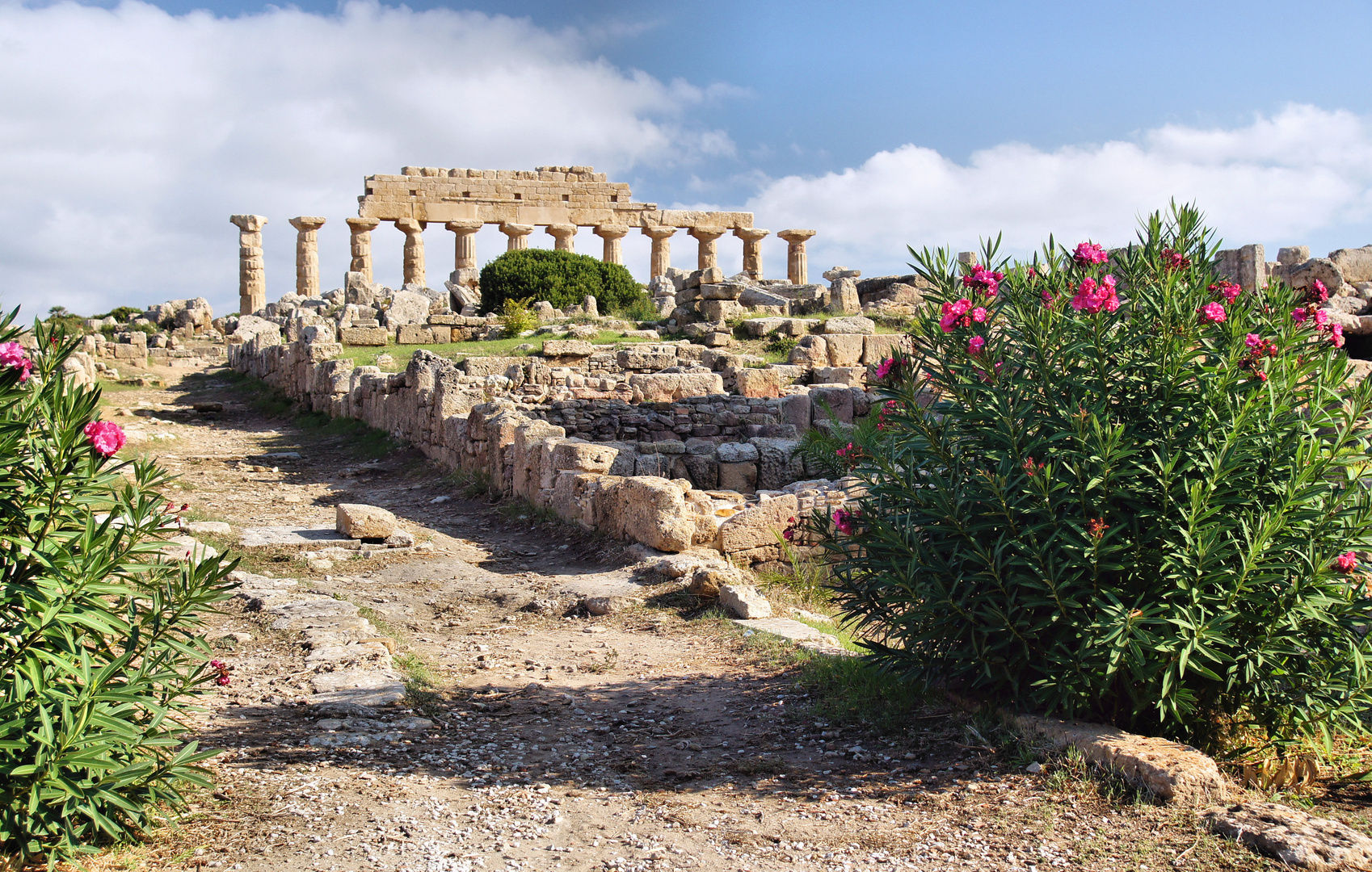 Akropolis Selinunt Sizilien