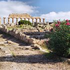 Akropolis Selinunt Sizilien