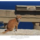 Akropolis von Lindos, Rhodos