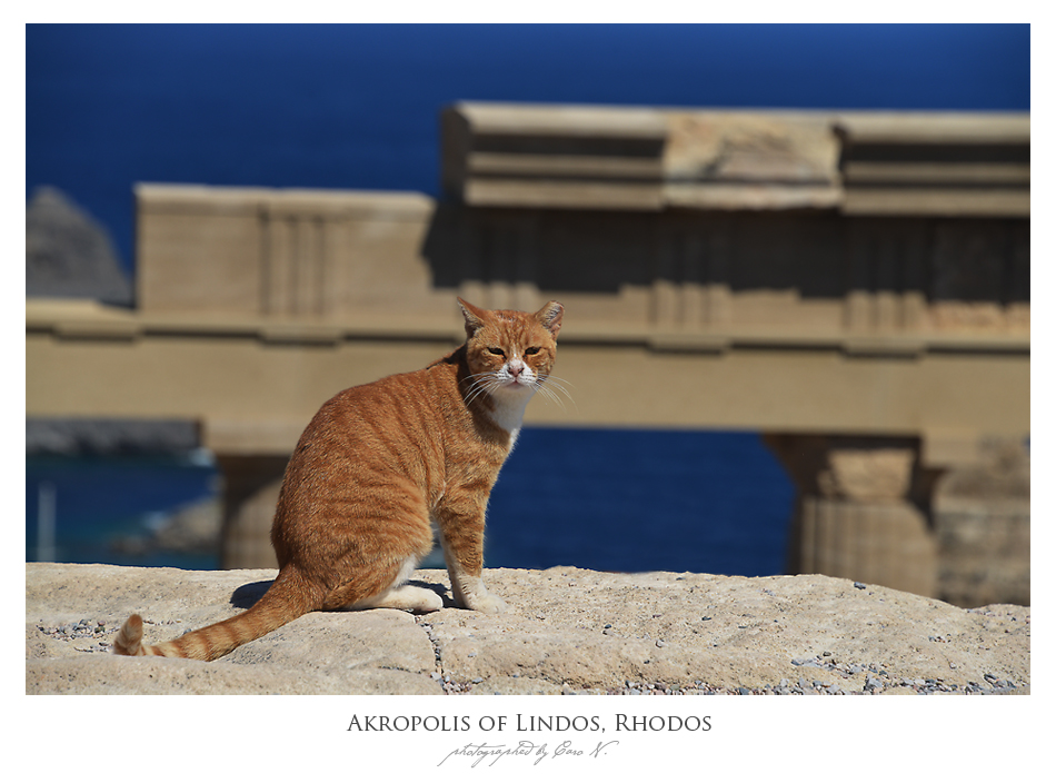 Akropolis von Lindos, Rhodos