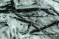 Aktinolith in Talkschiefer aus dem Zillertal