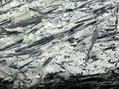 Aktinolith in Talkschiefer aus dem Zillertal